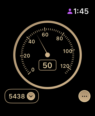 ThrottleCard Apple Watch App Screenshot 2